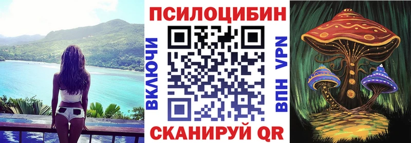 Галлюциногенные грибы прущие грибы  omg ТОР  Духовщина  где можно купить  