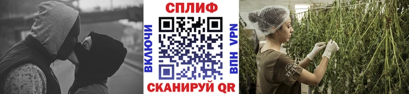 Каннабис конопля  цены   Духовщина 